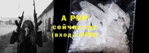 гидра Михайловка