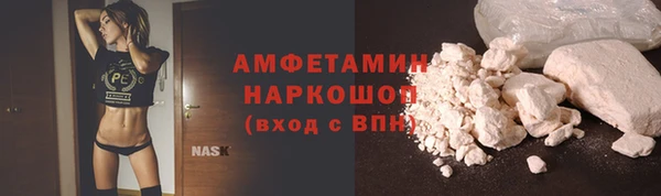 гидра Михайловка