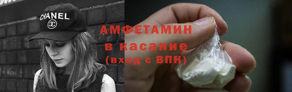 гидра Михайловка