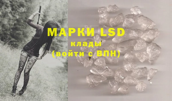 гидра Михайловка