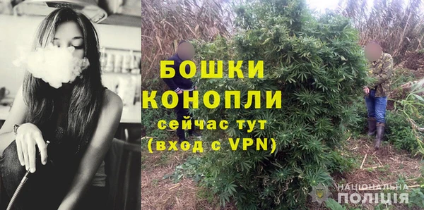 гидра Михайловка