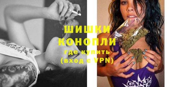 гидра Михайловка